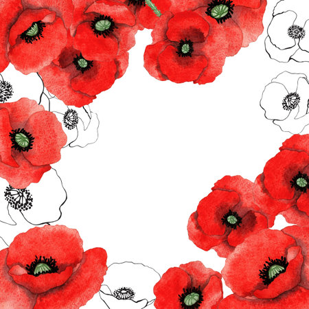 Hand drawn frame with watercolor and line Poppiesの写真素材