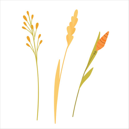 Vector set of boho plants and herbs. Beautiful wild grass and flowers. Collection of floral elements. Stylish flat elements for your designのイラスト素材