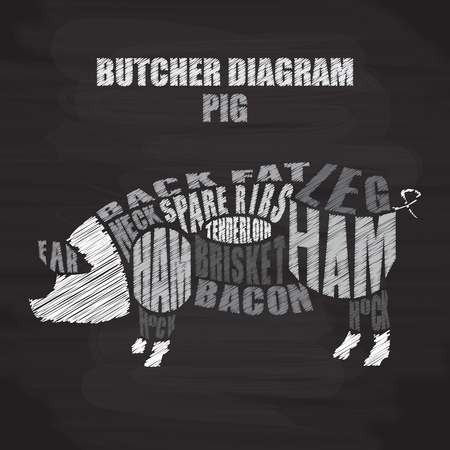 Chalk butcher diagram of pork. Cuts of pig vector illustrationのイラスト素材