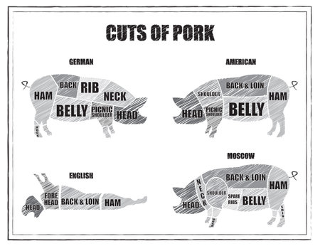 Set of butcher diagram pork. Cuts pigのイラスト素材
