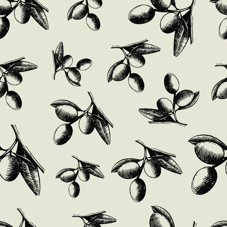 Hand drawn olive branch sketch pattern background  illustrationの写真素材