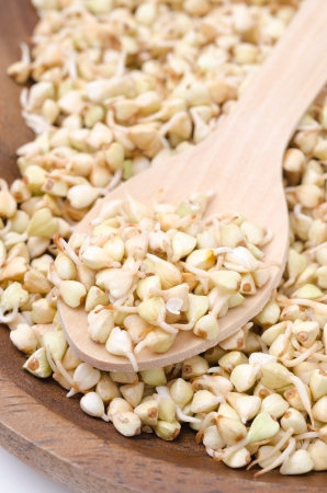 fresh green sprouts buckwheat in wooden bowl closeupの写真素材