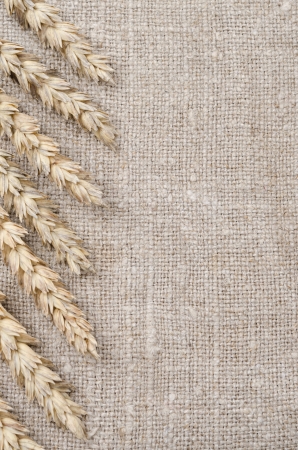 frame of wheat ears on burlap background closeupの写真素材
