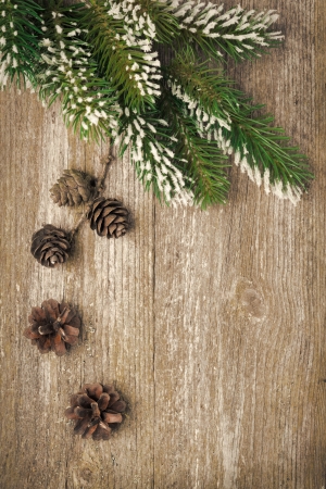 Christmas vintage background  with fir branches and cones  close-upの写真素材