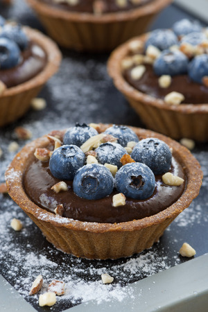 chocolate mousse in tartlets, vertical, close-upの写真素材