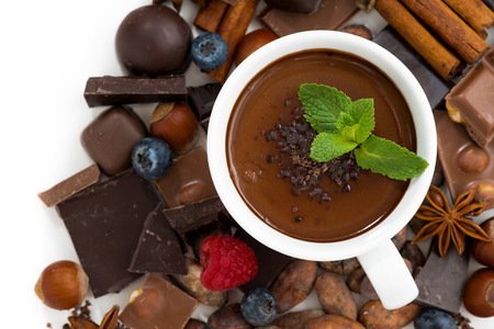 hot chocolate with mint in a cup and ingredients, top view, horizontalの写真素材