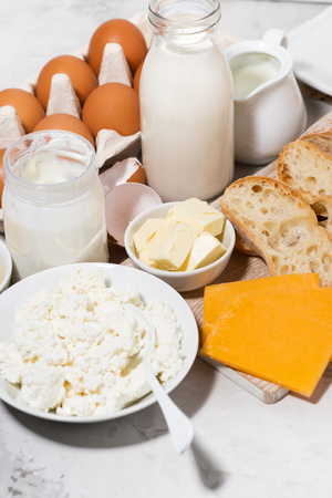 assortment of fresh farm dairy products, closeupの写真素材