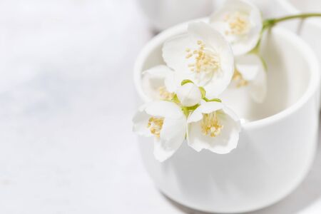 white pialat, tea and jasmine. japanese tea party, closeup horizontalの写真素材