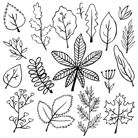 Vector Hand drawn set of doodle botanical leaves for seasonal designのイラスト素材