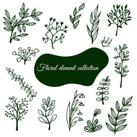 set of doodle plant elements, decorative leaves, floral ornamentのイラスト素材