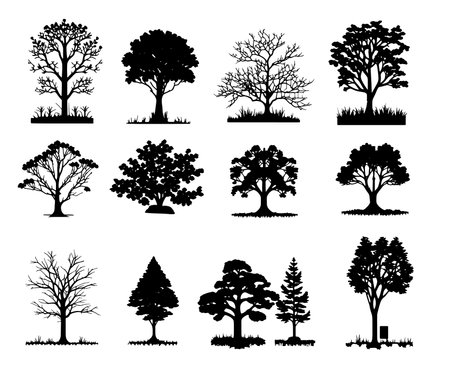 Black silhouettes of various trees on a white backgroundのイラスト素材
