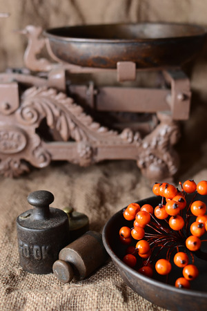 weights, walnuts and viburnum on sackingの写真素材