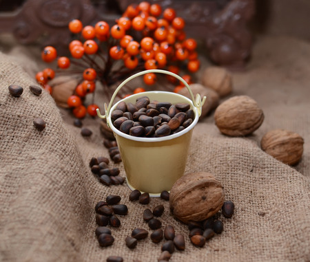 pine nuts and walnuts on sackingの写真素材