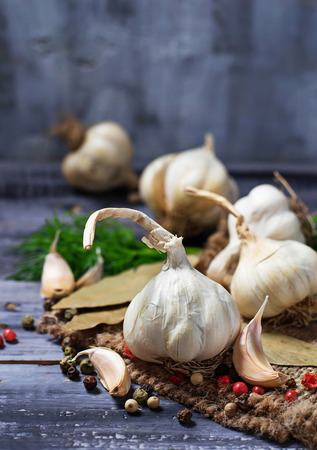Garlic, pepper, dill and bay leafの写真素材