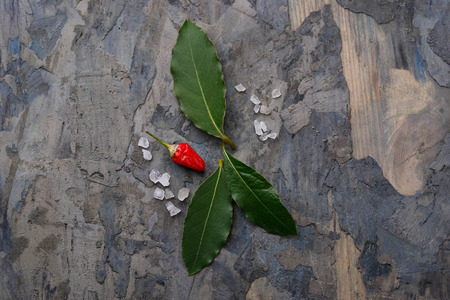 Fresh bay leaves and red pepper. Selective focusの写真素材
