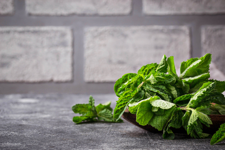 Bunch of fresh mint on brick wall backgroundの写真素材