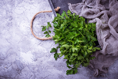Fresh parsley on gray concrete background. Selective focusの写真素材