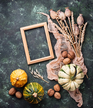 Autumn background with pumpkins and nuts.の写真素材