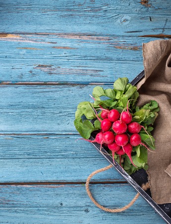 Fresh ripe radishes on blue tableの写真素材