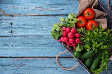 Tomato, radish and cucumbers on  blue backgroundの写真素材