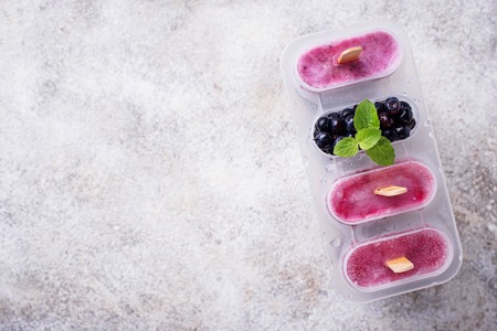 Sweet homemade popsicles with blueberryの写真素材