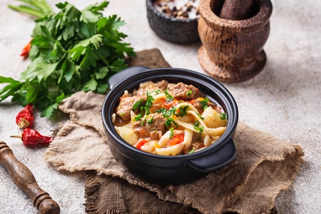 Oriental uzbek soup lagman with noodle, meat and vegetableの写真素材