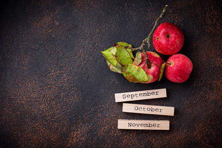 Creative autumn background with applesの写真素材
