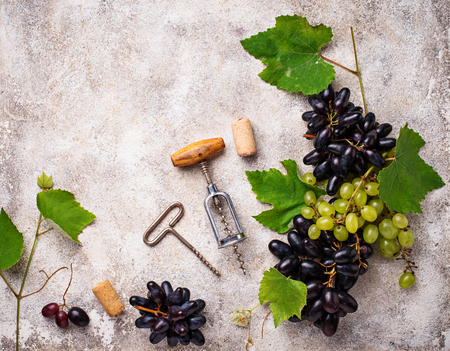 Grape, wine and vintage corkscrewの写真素材