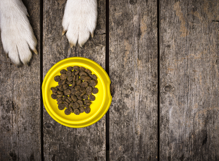 Dogs paws and bowl of dry nutrition. Pet food concept. Top view, space for textの写真素材