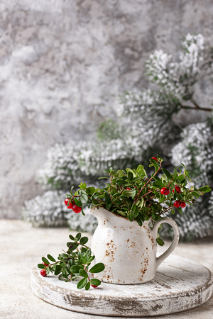 Cranberry branches with berries in pot on light backgroundの写真素材