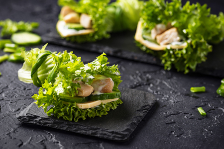 Keto fast food. Low carbs ketogenic burritos wrapped in lettuceの写真素材