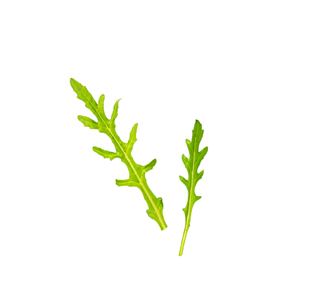 Fresh arugula leaves isolated on whiteの写真素材