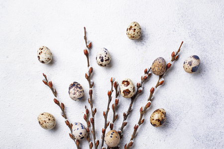 Easter background with quail eggs and pussy willowの写真素材