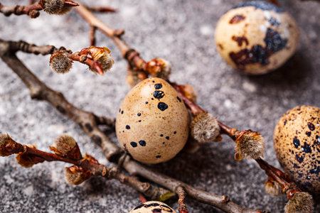 Quail eggs on grey  background