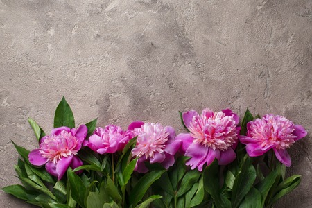 Pink peony flowers on light background. Space for textの写真素材