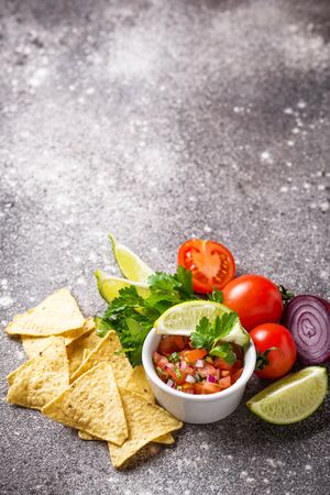 Traditional mexican tomato salsa sauce and corn chips nachosの写真素材