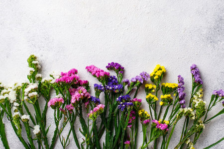 Colorful Limonium flower or Statice on white background
