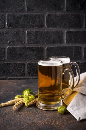 Mugs of beer, hops and maltの写真素材