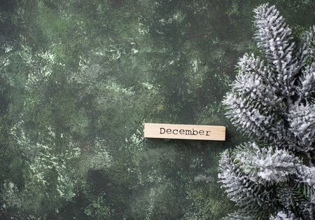 Christmas green festive background with branch of treeの写真素材