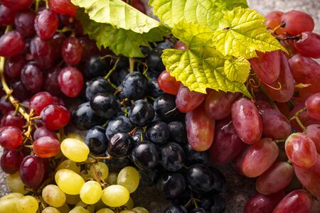 Assortment of different sort of grapes with leavesの写真素材