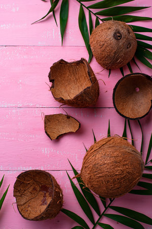 Coconuts and palm leaves on pink
