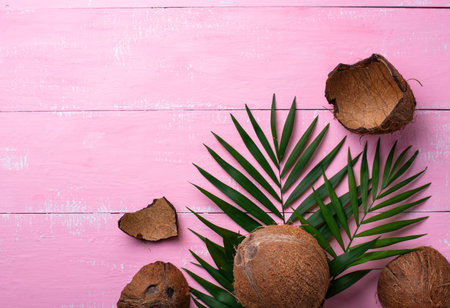 Coconuts and palm leaves on pink background