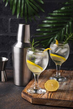 Gin tonic cocktail with lemonの写真素材