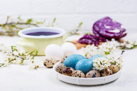 Process of painting Easter eggs in blueの写真素材