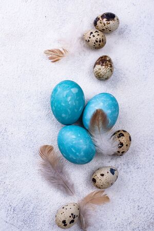 Easter chicken and quail eggs in blue colorの写真素材