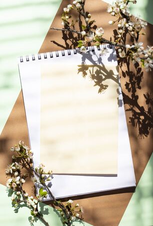 Empty card with shadow of a blooming treeの写真素材