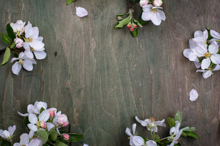 Blooming apple tree. Spring background on green wooden table