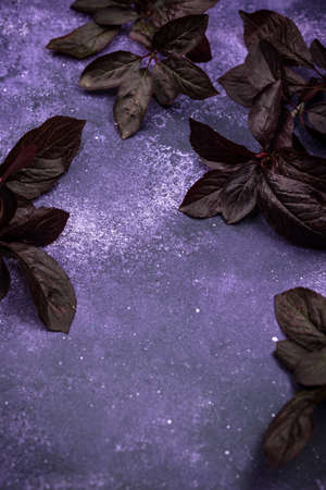 Purple violet cosmic background with dark leavesの写真素材