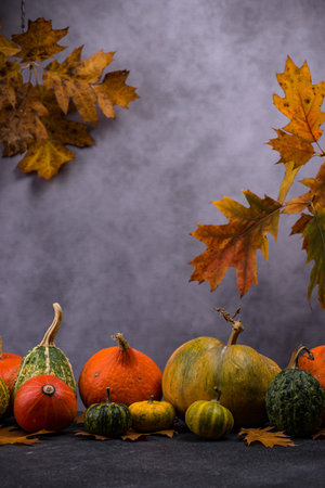 Various decorative pumpkins. Autumn concept
