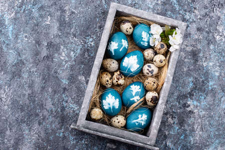 Easter blue eggs painted of natural dyeの写真素材